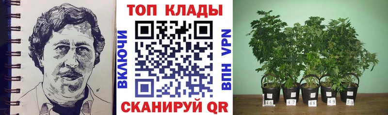 Купить наркотики сайты Сосногорск Гашиш  кракен ссылки  Меф  МДМА  Бошки Шишки  Псилоцибиновые грибы  ЭКСТАЗИ 