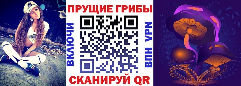 Псилоцибиновые грибы GOLDEN TEACHER  продажа наркотиков  Сосногорск 